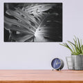 'Philodendron' by Laura Marshall – Metal Wall Art, 16x12 room view