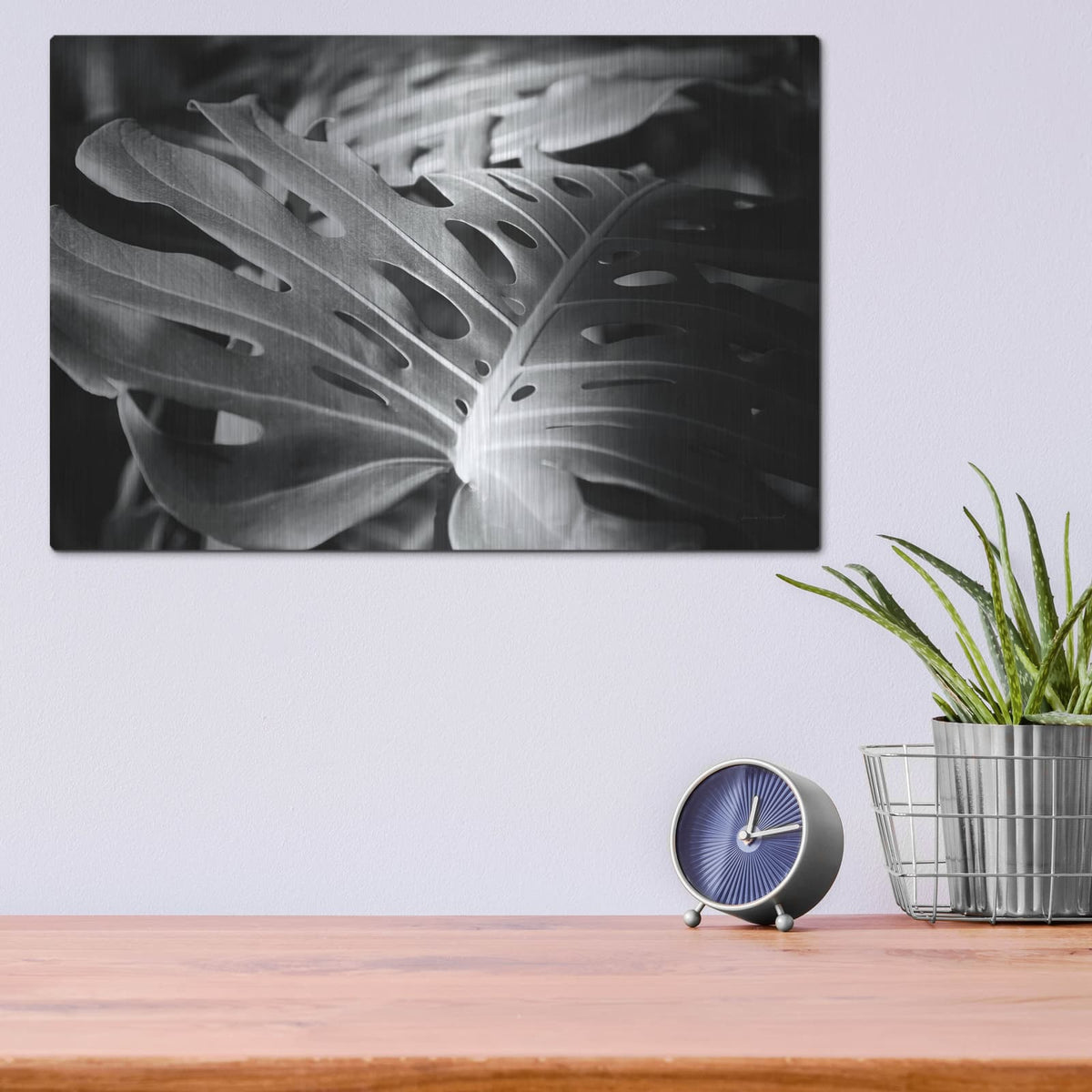 'Philodendron' by Laura Marshall – Metal Wall Art, 16x12 room view