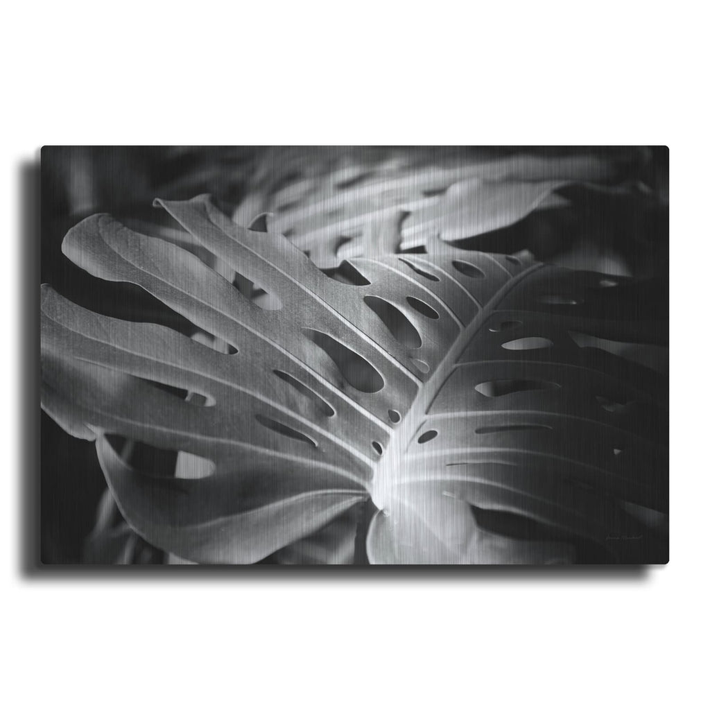 'Philodendron' by Laura Marshall – Metal Wall Art