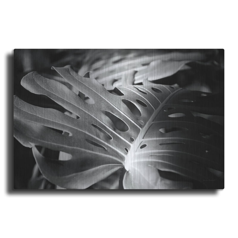 'Philodendron' by Laura Marshall – Metal Wall Art