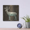 'Simple Living Deer Silhouette' by Michael Mullan – Metal Wall Art, 12x12 room view