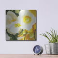 'White Anemones Up Close' by Shirley Novak – Metal Wall Art, 12x12 room view
