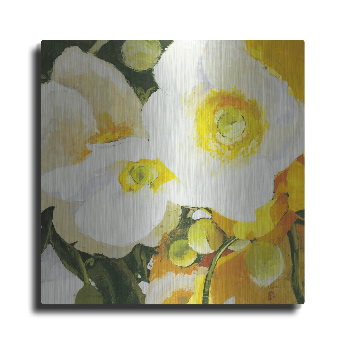 'White Anemones Up Close' by Shirley Novak – Metal Wall Art