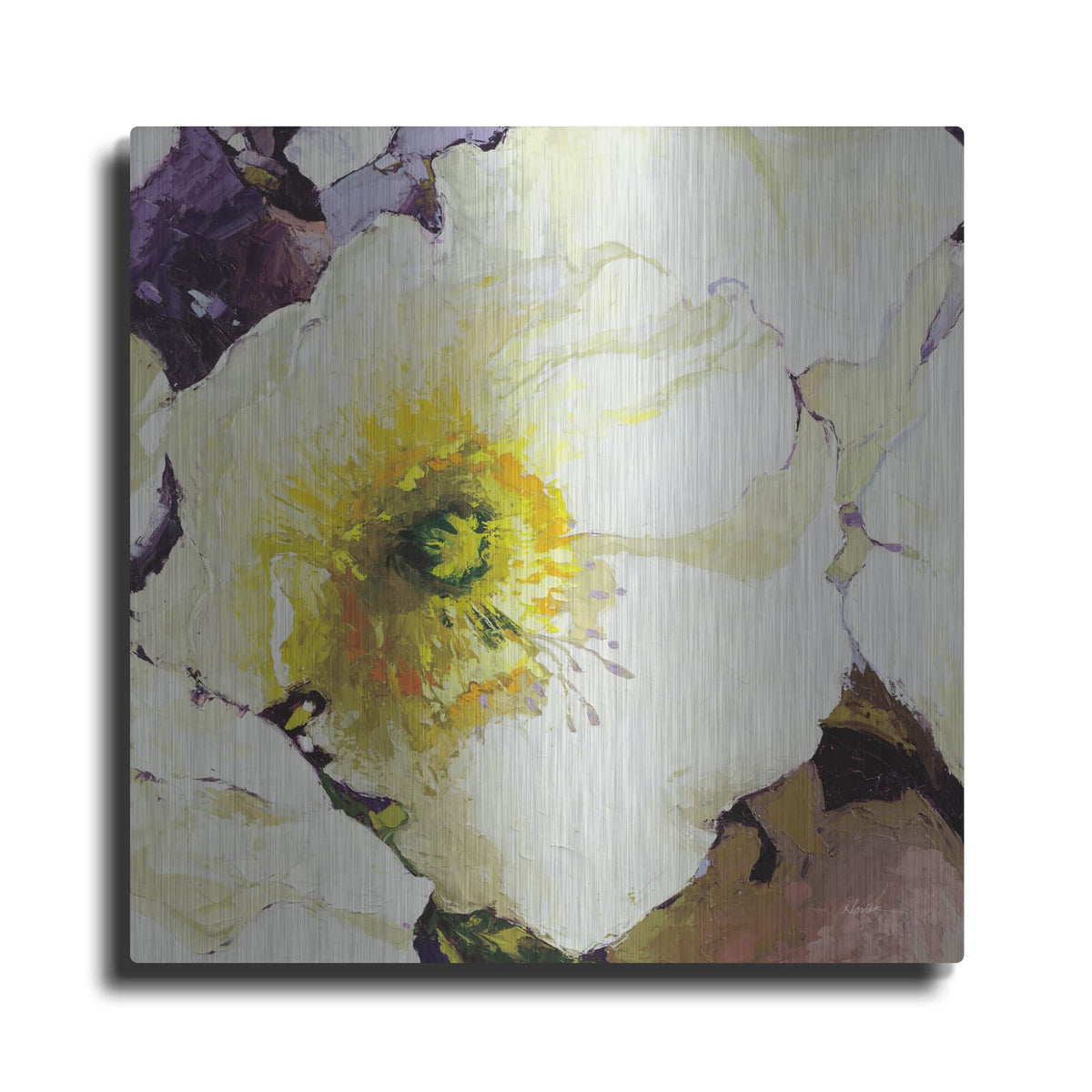 'White Poppies Up Close' by Shirley Novak – Metal Wall Art