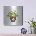 'Fine Herbs V3' by Janelle Penner – Metal Wall Art, 12x12 room view
