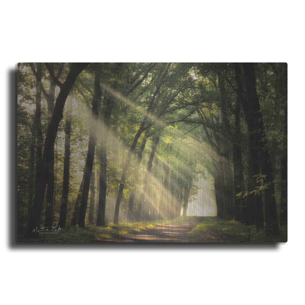 'The Light of Lochem' by Martin Podt – Metal Wall Art