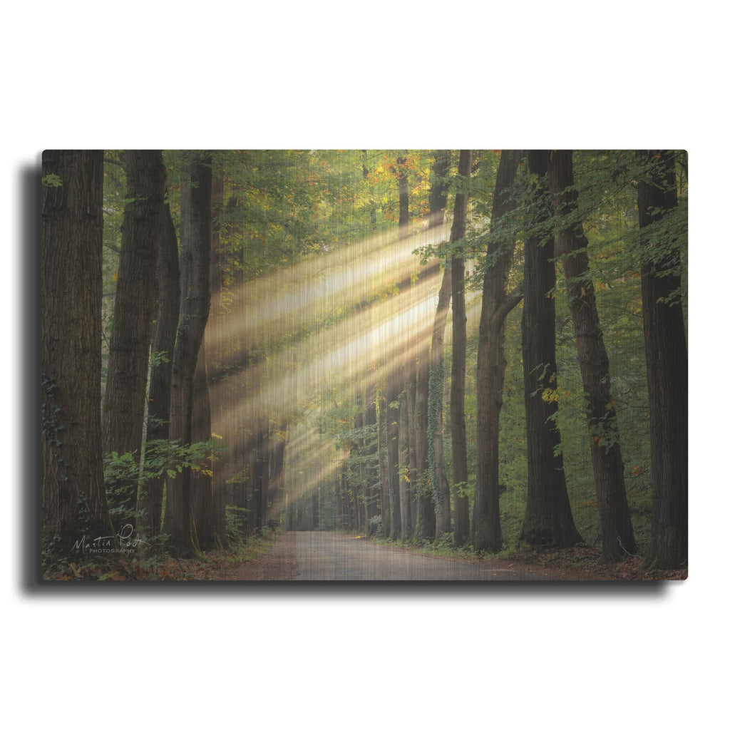 'Rayzor Light' by Martin Podt – Metal Wall Art