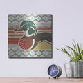 'Vintage Lake 10' by Janelle Penner – Metal Wall Art, 12x12 room view