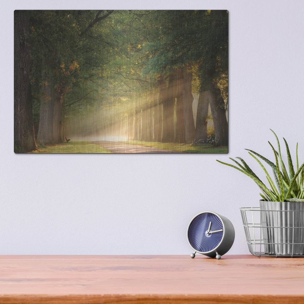 'Perfect Place to Sit' by Martin Podt – Metal Wall Art, 16x12 room view