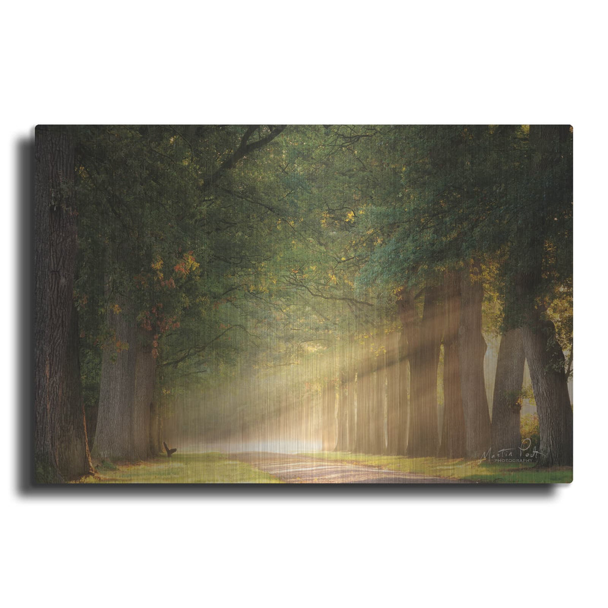 'Perfect Place to Sit' by Martin Podt – Metal Wall Art