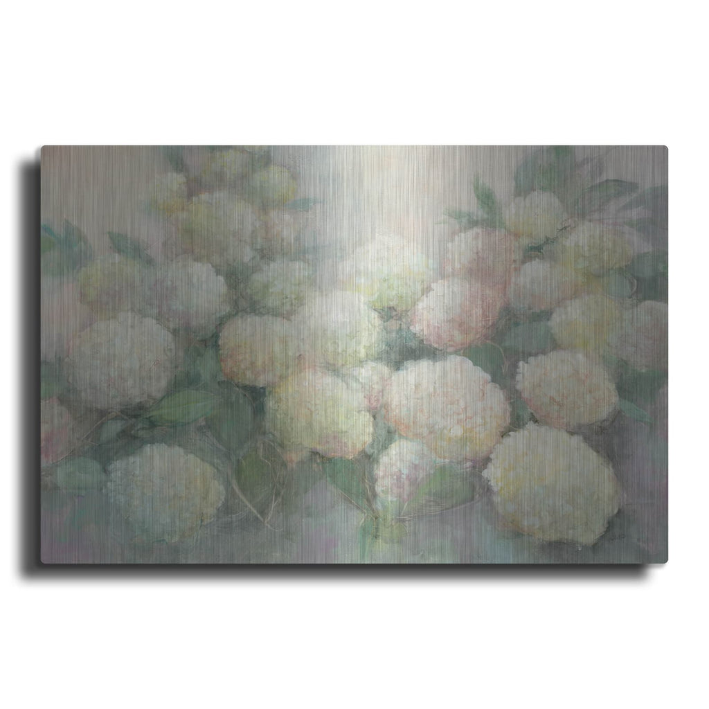 'Annabelle Hydrangeas C' by Julia Purinton – Metal Wall Art