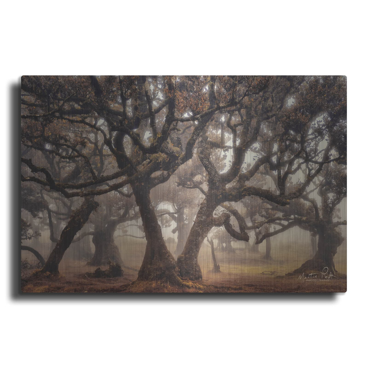 'The Hidden Truth' by Martin Podt – Metal Wall Art