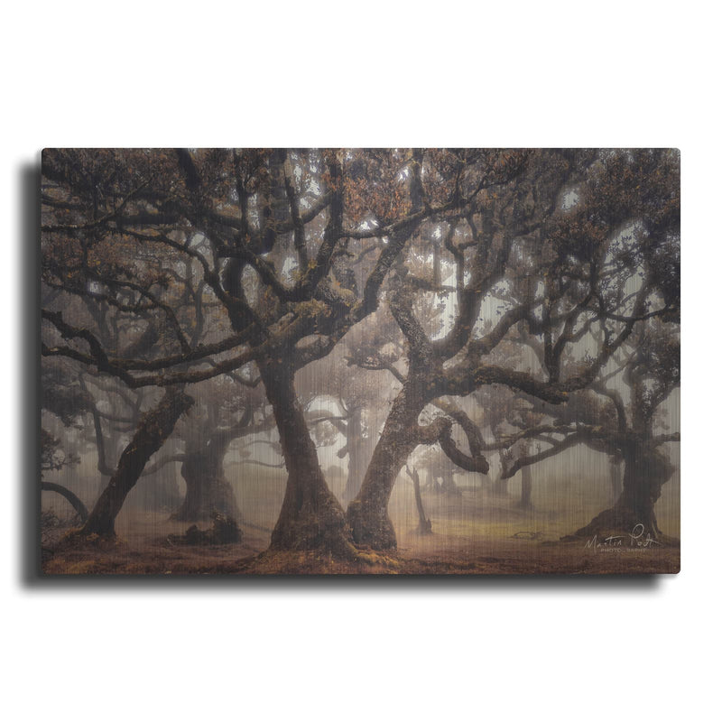 'The Hidden Truth' by Martin Podt – Metal Wall Art