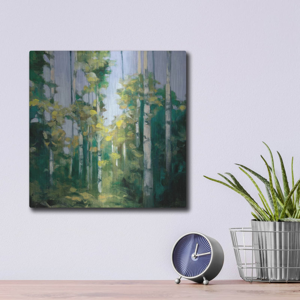 'Birches' by Julia Purinton – Metal Wall Art, 12x12 room view