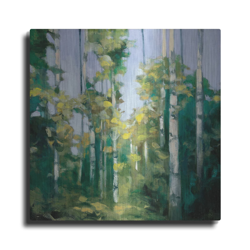 'Birches' by Julia Purinton – Metal Wall Art