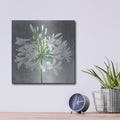 'Cleome Splash 1' by Julia Purinton – Metal Wall Art, 12x12 room view