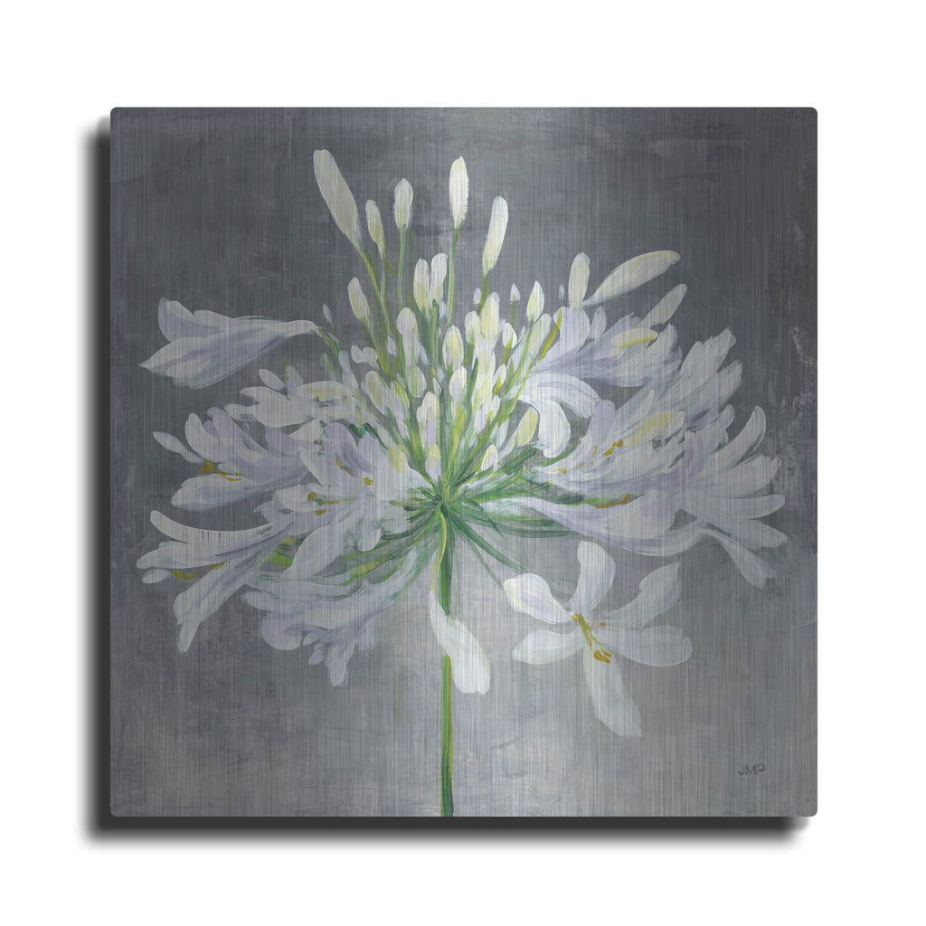 'Cleome Splash 1' by Julia Purinton – Metal Wall Art
