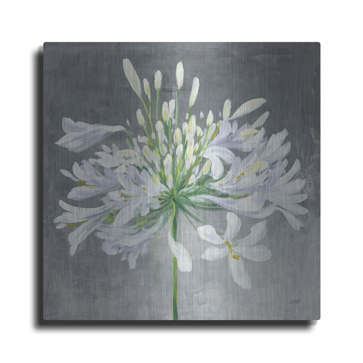 'Cleome Splash 1' by Julia Purinton – Metal Wall Art
