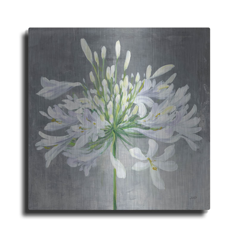 'Cleome Splash 1' by Julia Purinton – Metal Wall Art