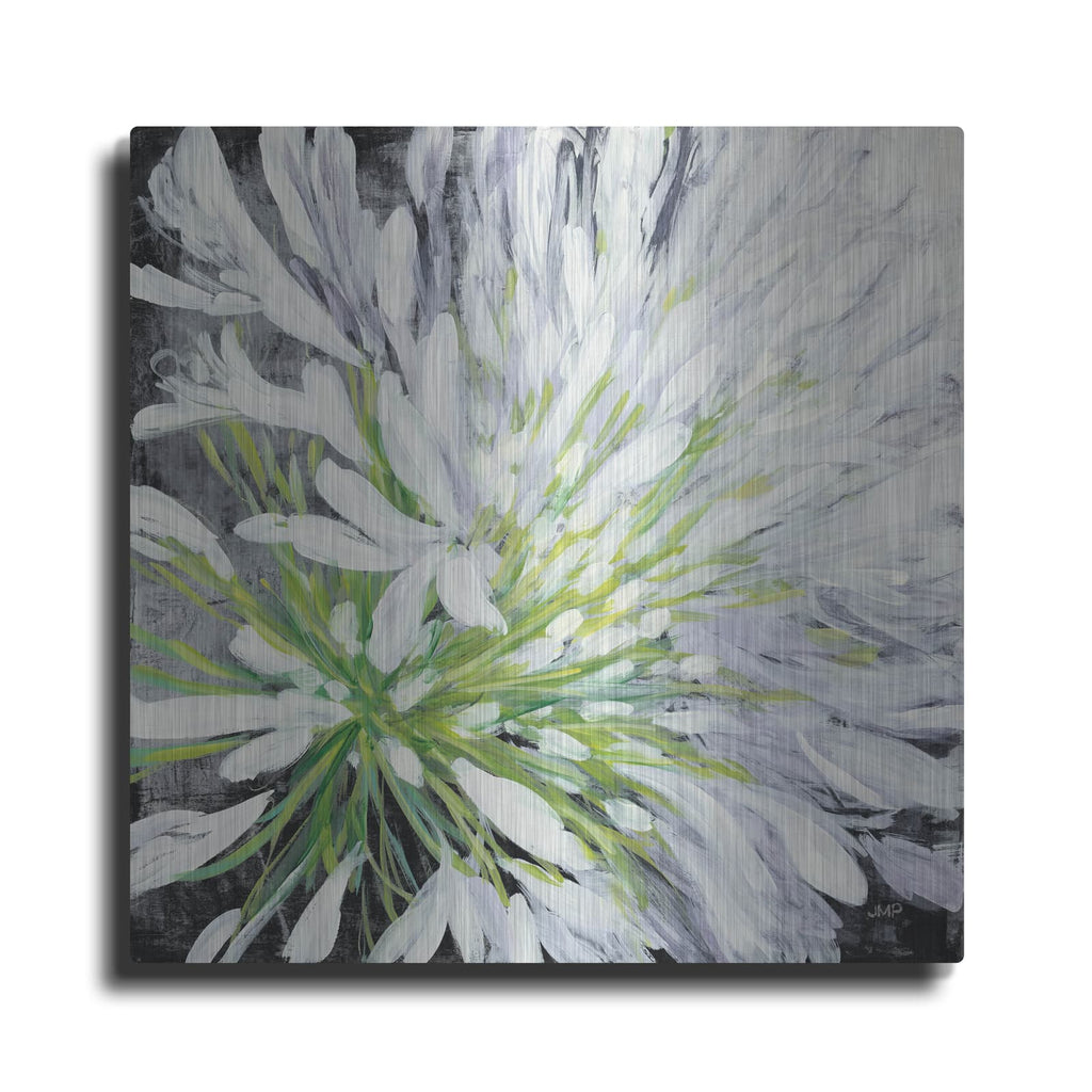 'Cleome Splash 2 Black' by Julia Purinton – Metal Wall Art