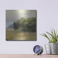 'Edge Of The Forest' by Julia Purinton – Metal Wall Art, 12x12 room view