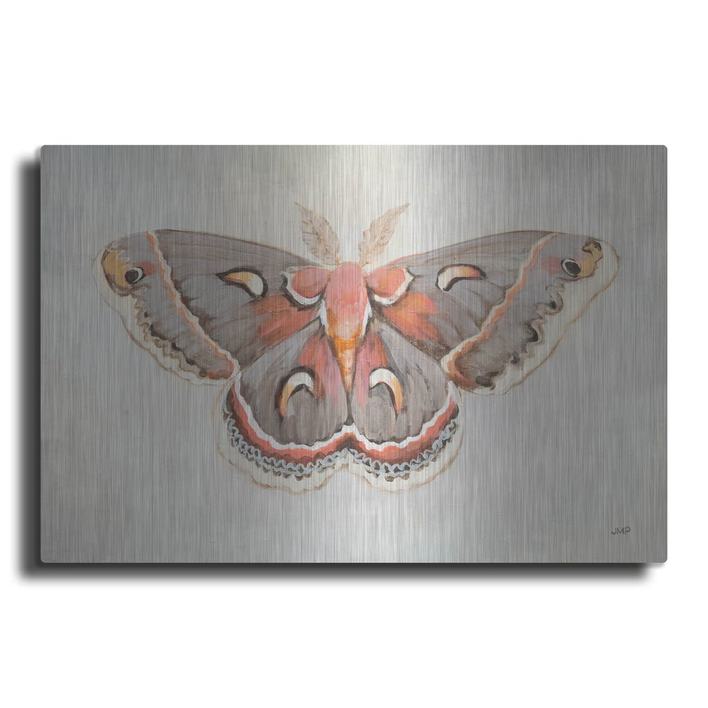 'Forest Moth 1' by Julia Purinton – Metal Wall Art