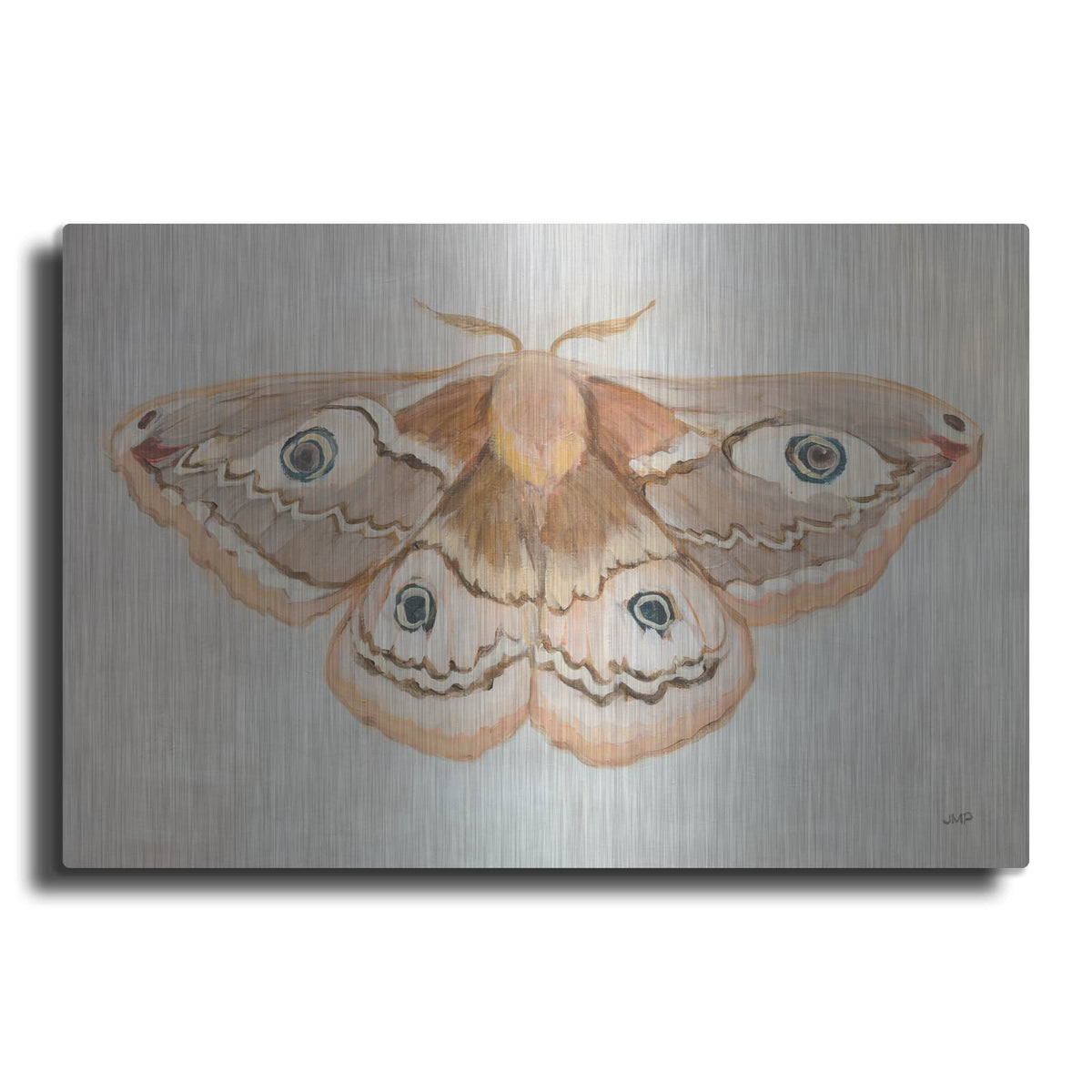 'Forest Moth 2' by Julia Purinton – Metal Wall Art