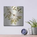 'Maple Branch C' by Julia Purinton – Metal Wall Art, 12x12 room view