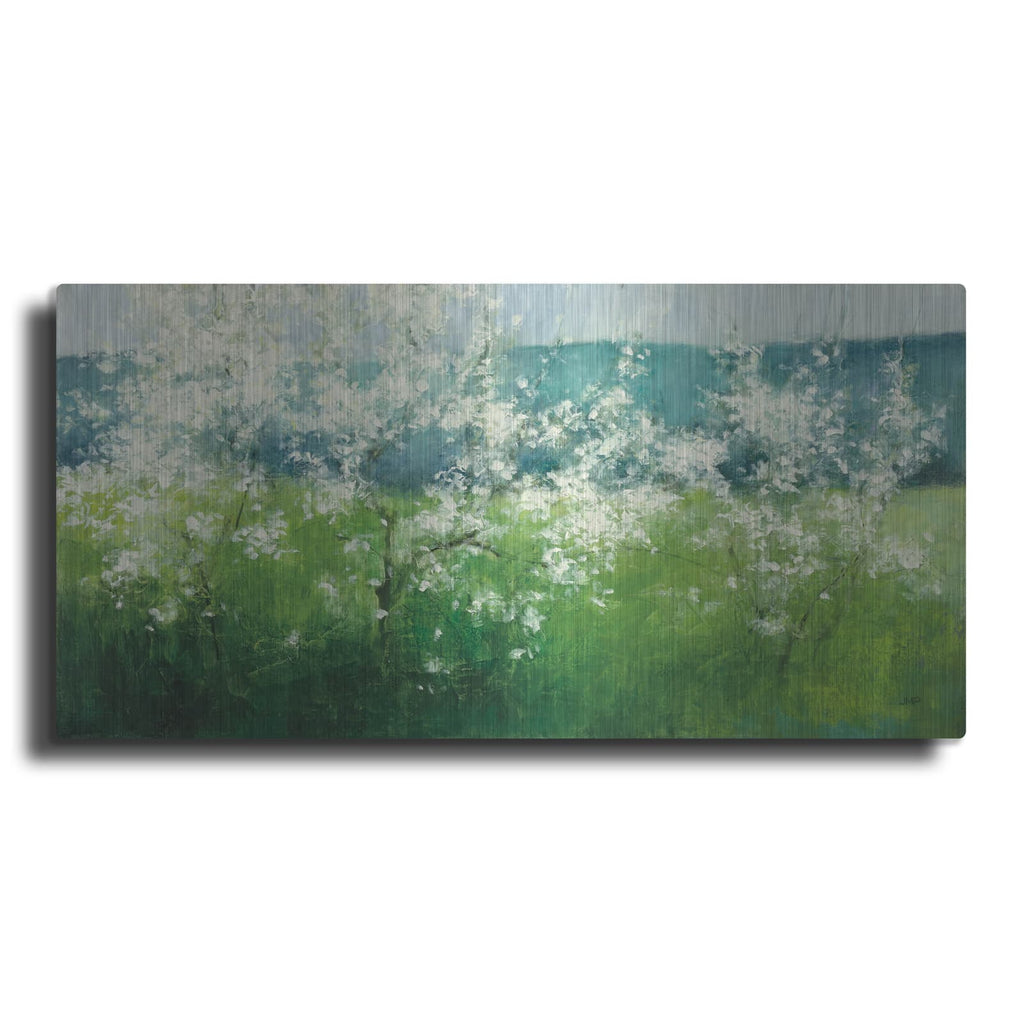 'Mountain Spring' by Julia Purinton – Metal Wall Art