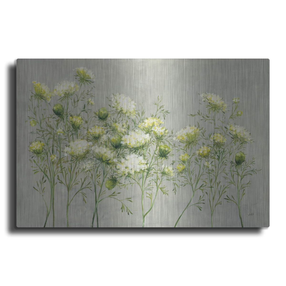 'Queen Annes Lace' by Julia Purinton – Metal Wall Art