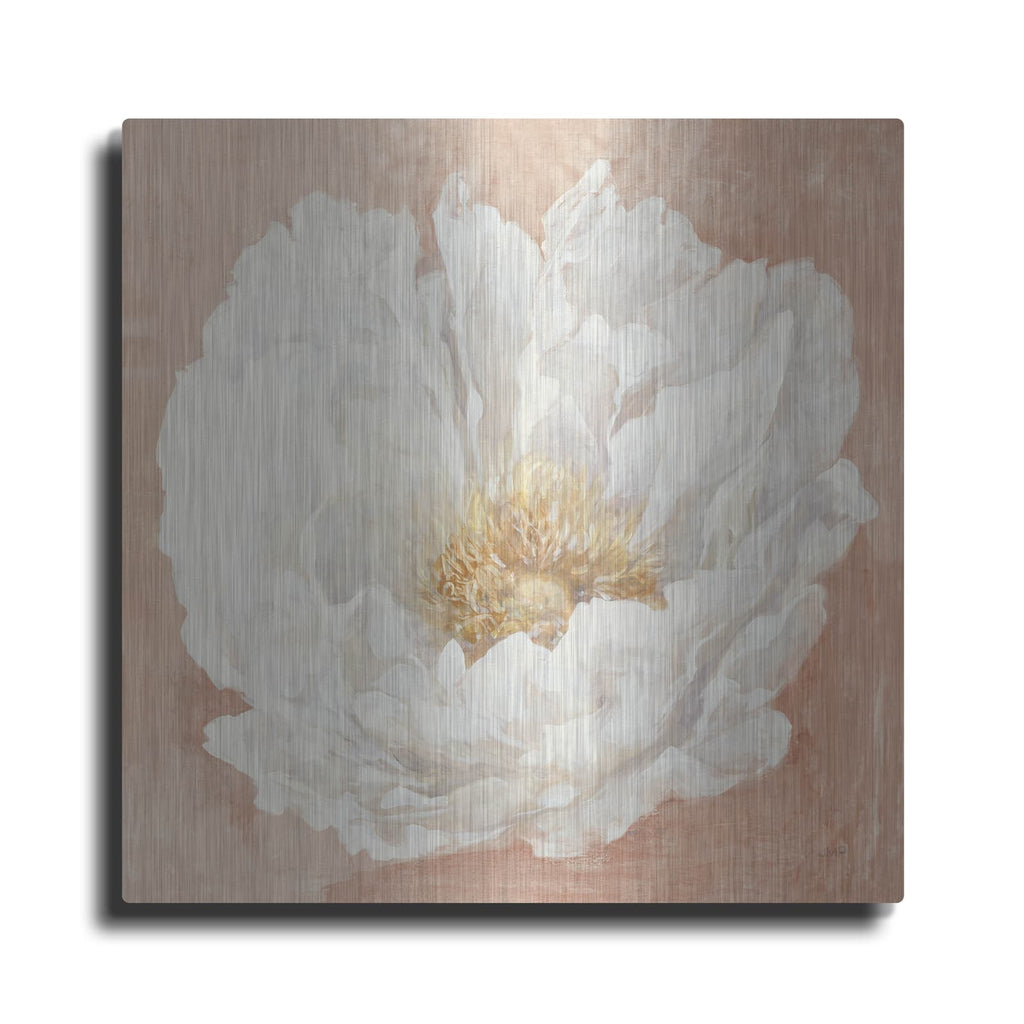 'Serene Peony Terracotta' by Julia Purinton – Metal Wall Art