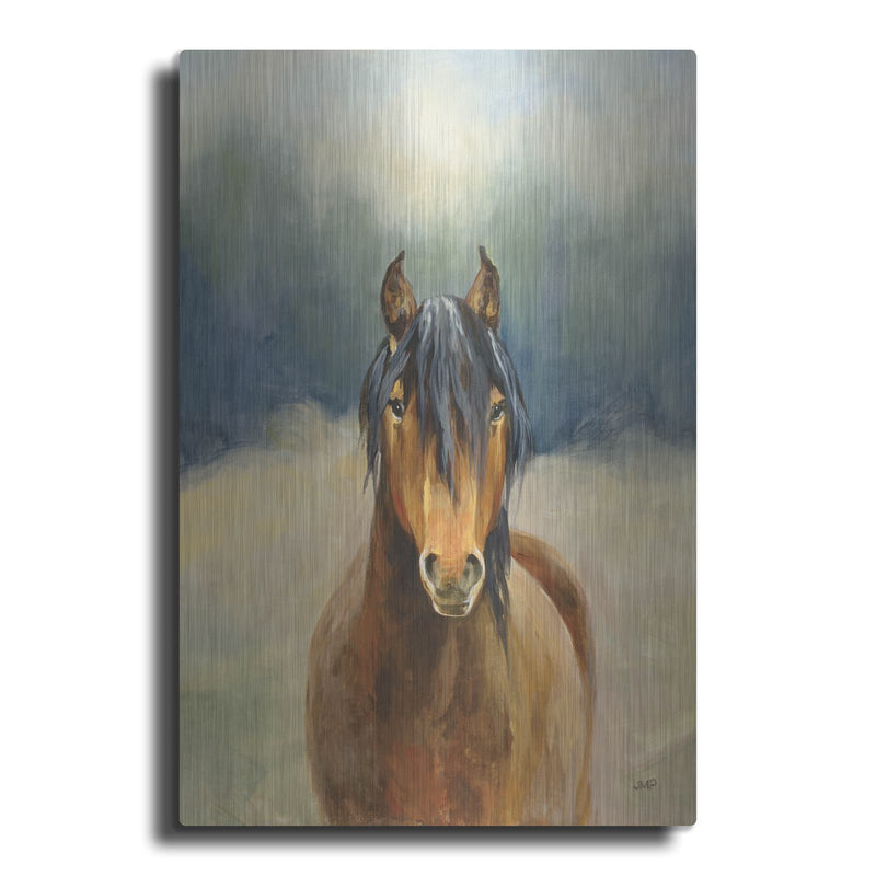 'Spirit Of The West 1' by Julia Purinton – Metal Wall Art