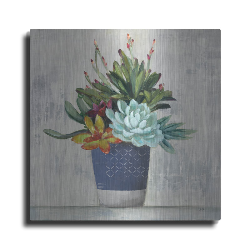 'Succulent Still Life 1 Navy' by Julia Purinton – Metal Wall Art