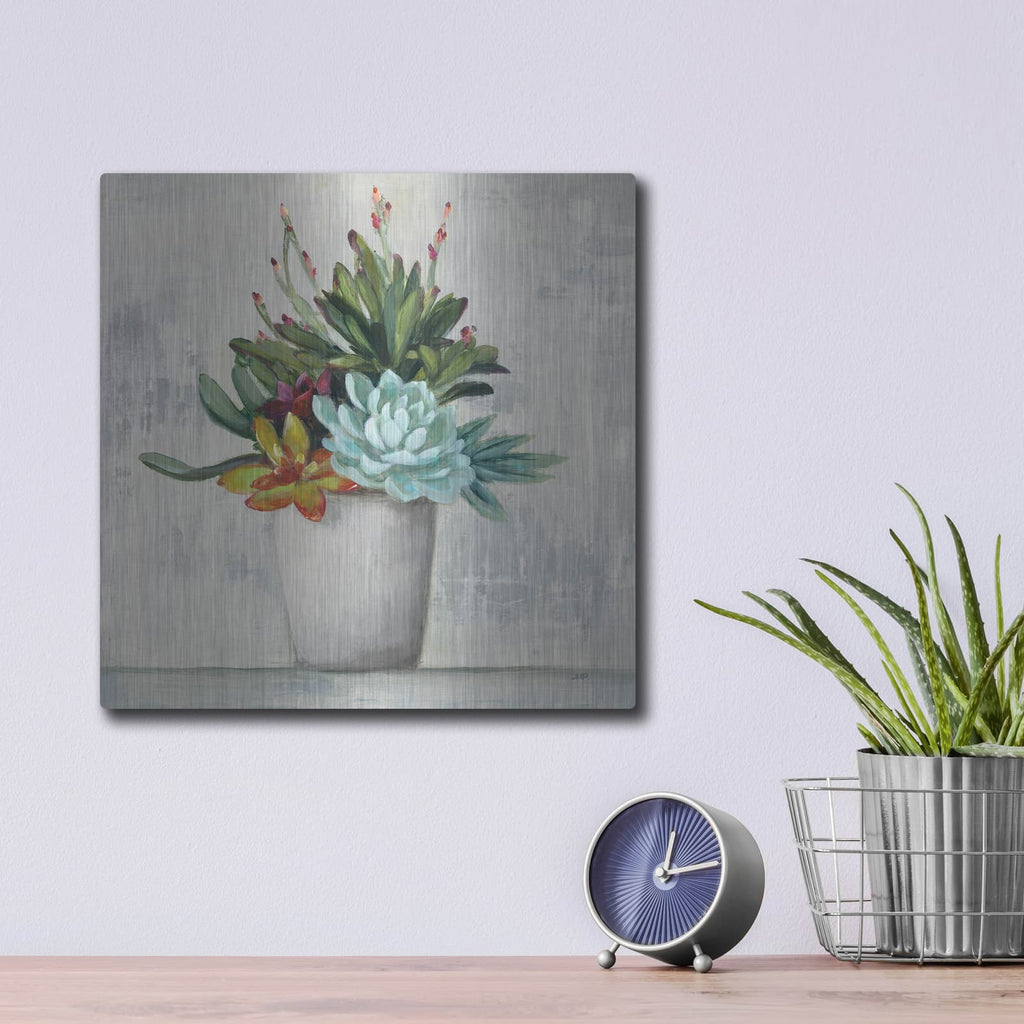 'Succulent Still Life 1' by Julia Purinton – Metal Wall Art, 12x12 room view