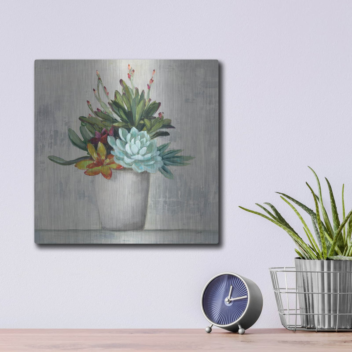 'Succulent Still Life 1' by Julia Purinton – Metal Wall Art, 12x12 room view
