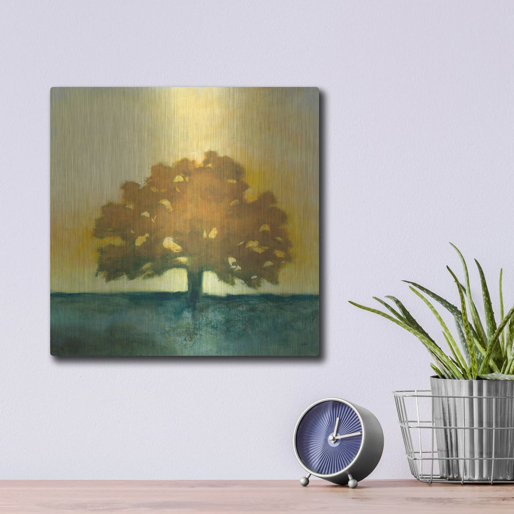 'Under The Oak 2' by Julia Purinton – Metal Wall Art, 12x12 room view