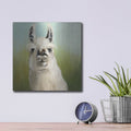 'Whos Your Llama 1 C' by Julia Purinton – Metal Wall Art, 12x12 room view