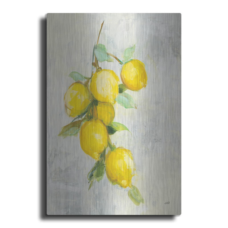 'Zest 1' by Julia Purinton – Metal Wall Art