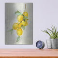 'Zest 2' by Julia Purinton – Metal Wall Art, 12x16 room view