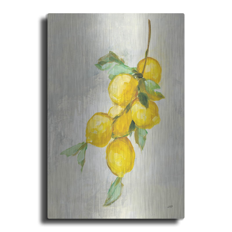 'Zest 2' by Julia Purinton – Metal Wall Art
