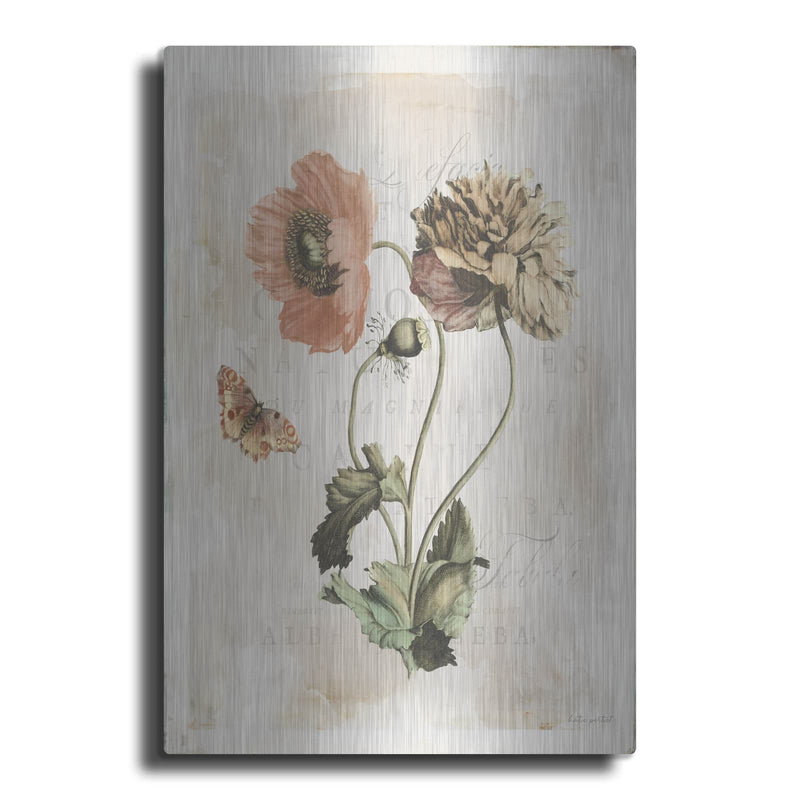'Antiquarian Blooms 4' by Katie Pertiet – Metal Wall Art