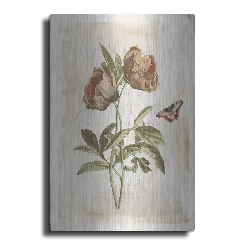 'Antiquarian Blooms 6' by Katie Pertiet – Metal Wall Art