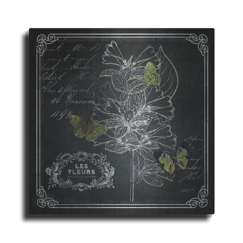 'Chalkboard Botanical 2' by Katie Pertiet – Metal Wall Art