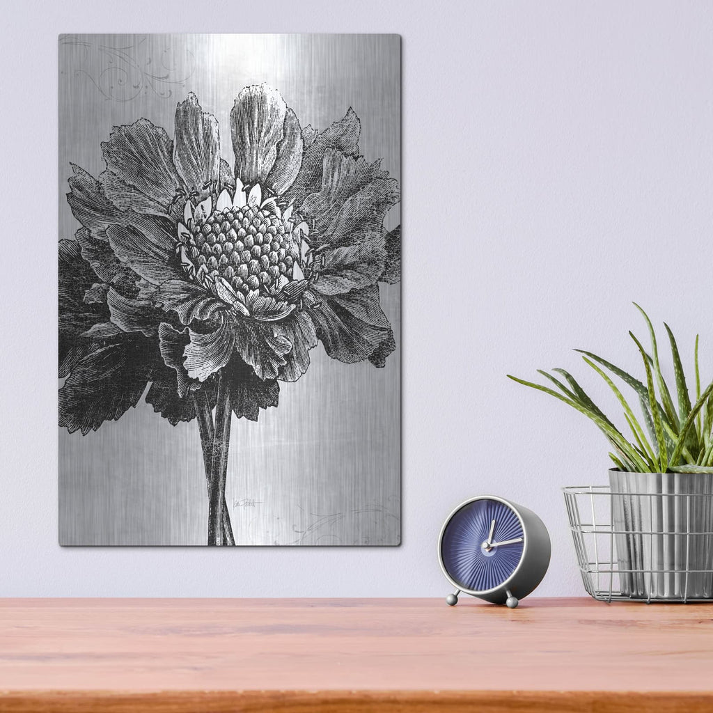 'Spa Botanical 1 Bw C' by Katie Pertiet – Metal Wall Art, 12x16 room view