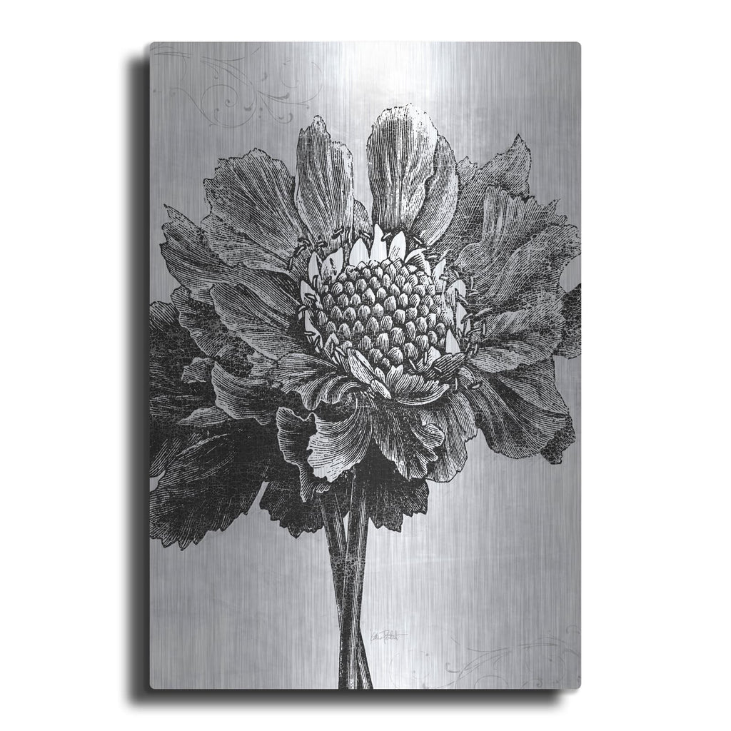 'Spa Botanical 1 Bw C' by Katie Pertiet – Metal Wall Art