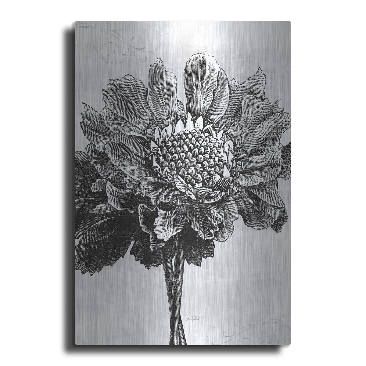 'Spa Botanical 1 Bw C' by Katie Pertiet – Metal Wall Art
