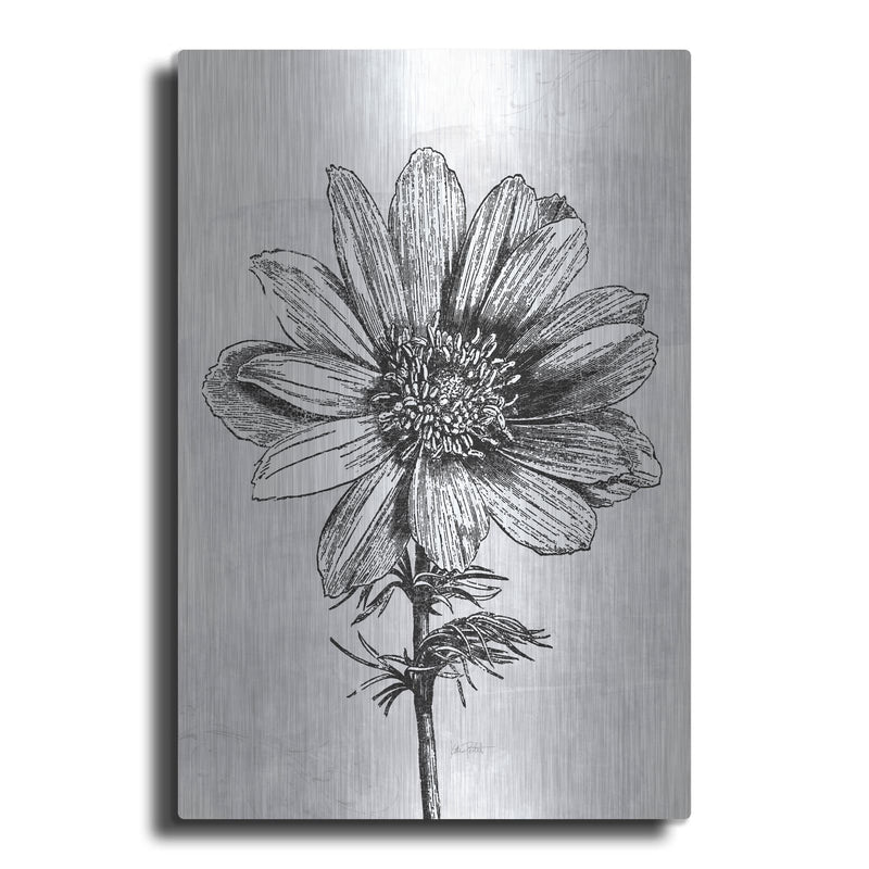 'Spa Botanical 4 Bw C' by Katie Pertiet – Metal Wall Art