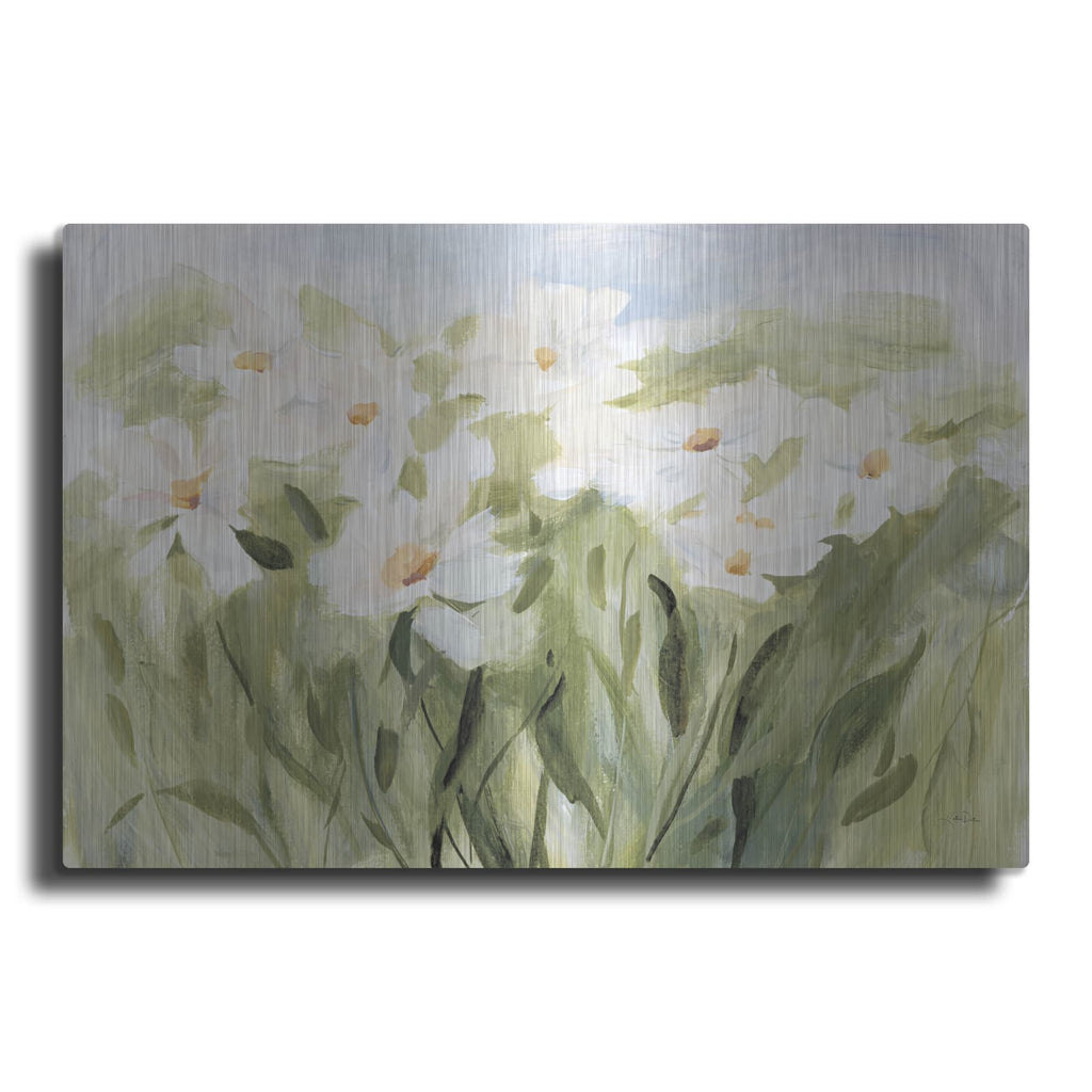 'Daisy Meadow' by Katrina Pete – Metal Wall Art
