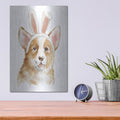 'Easter Corgi' by Katrina Pete – Metal Wall Art, 12x16 room view