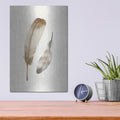 'Falling Feathers 3' by Katrina Pete – Metal Wall Art, 12x16 room view